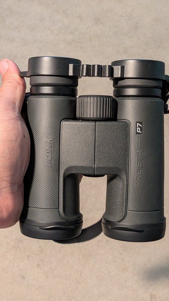 Nikon Prostaff P7 10x42
