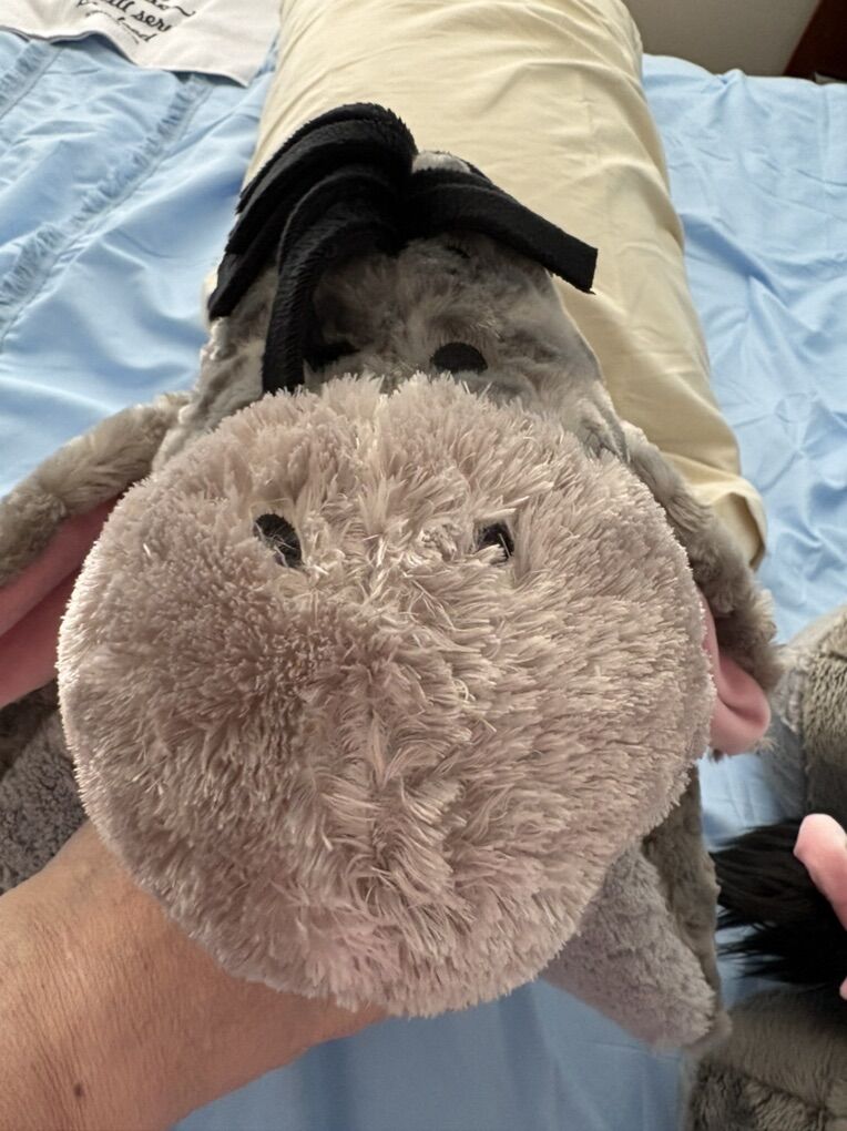 Disney Eeyore Pillow