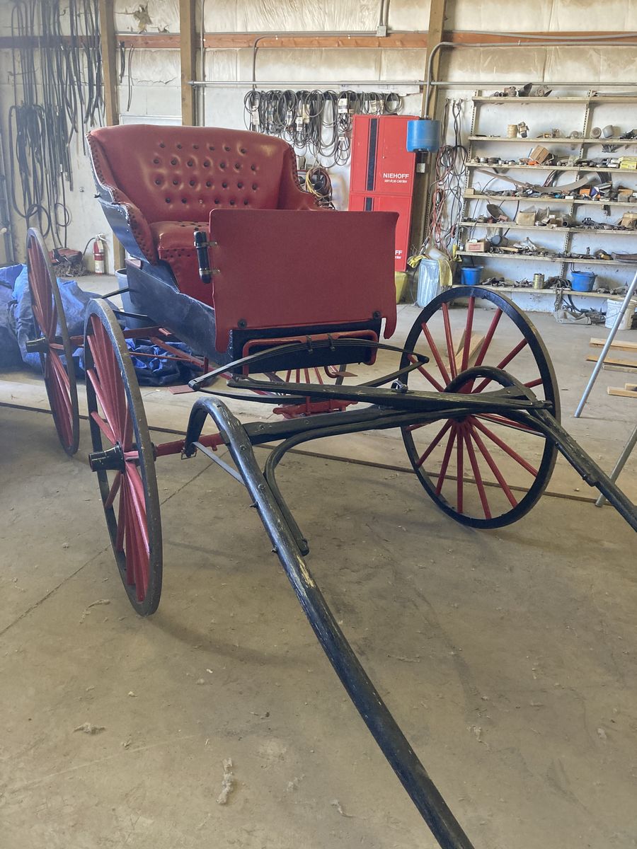 Doctor's Buggy