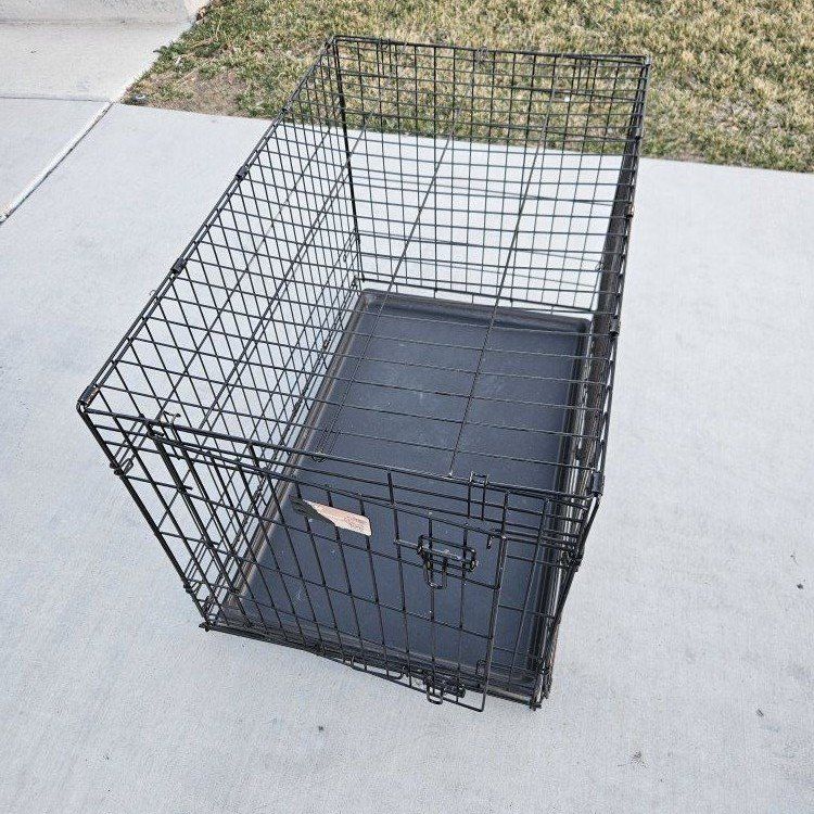 Dog kennel and food bin