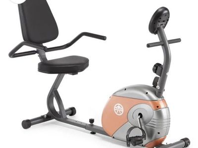 Recumbent Bike