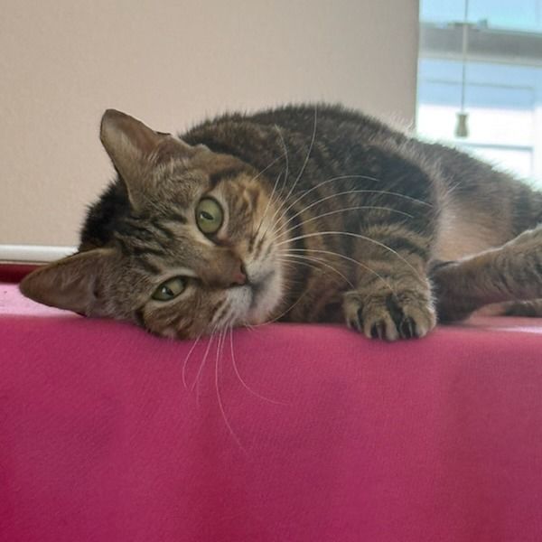 Hello my name is Oscarette
