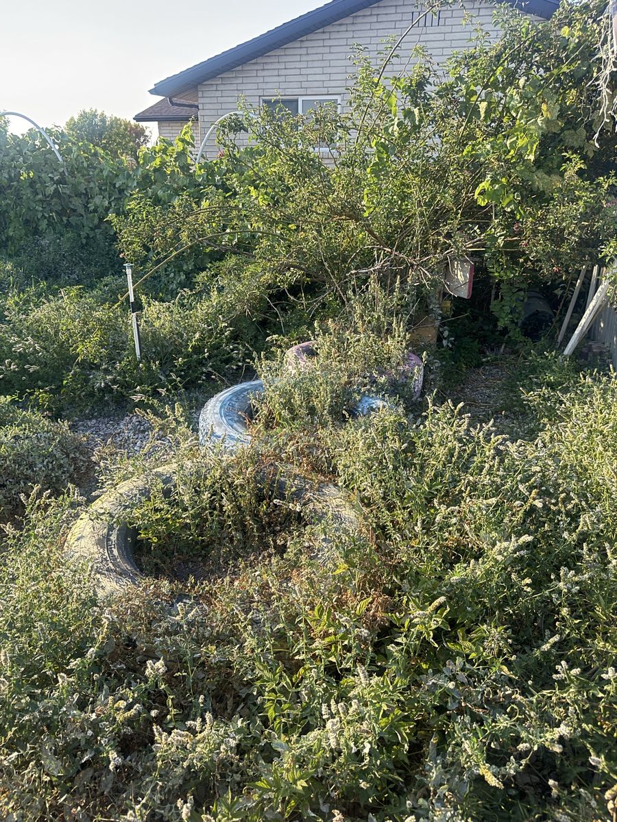 Main image 21