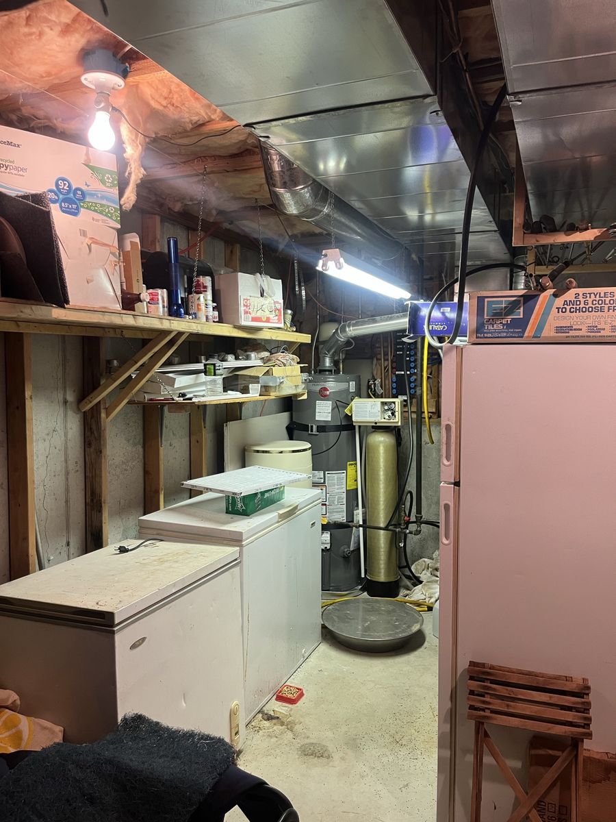 Main image 11