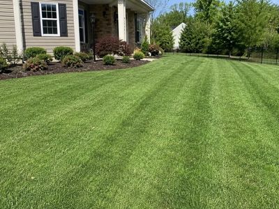 Lawn Mower