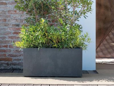 Deroma Gravity Planter 23x10x10 in, plastic