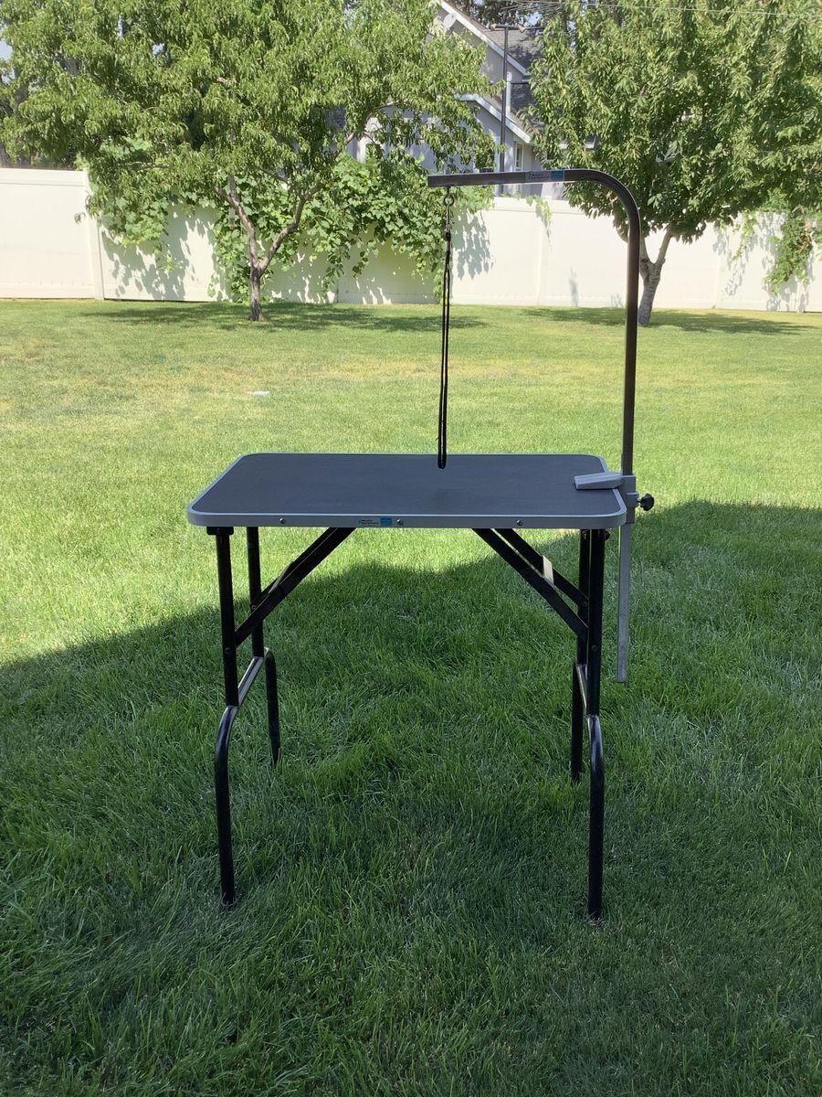 Dog Grooming table with accessories