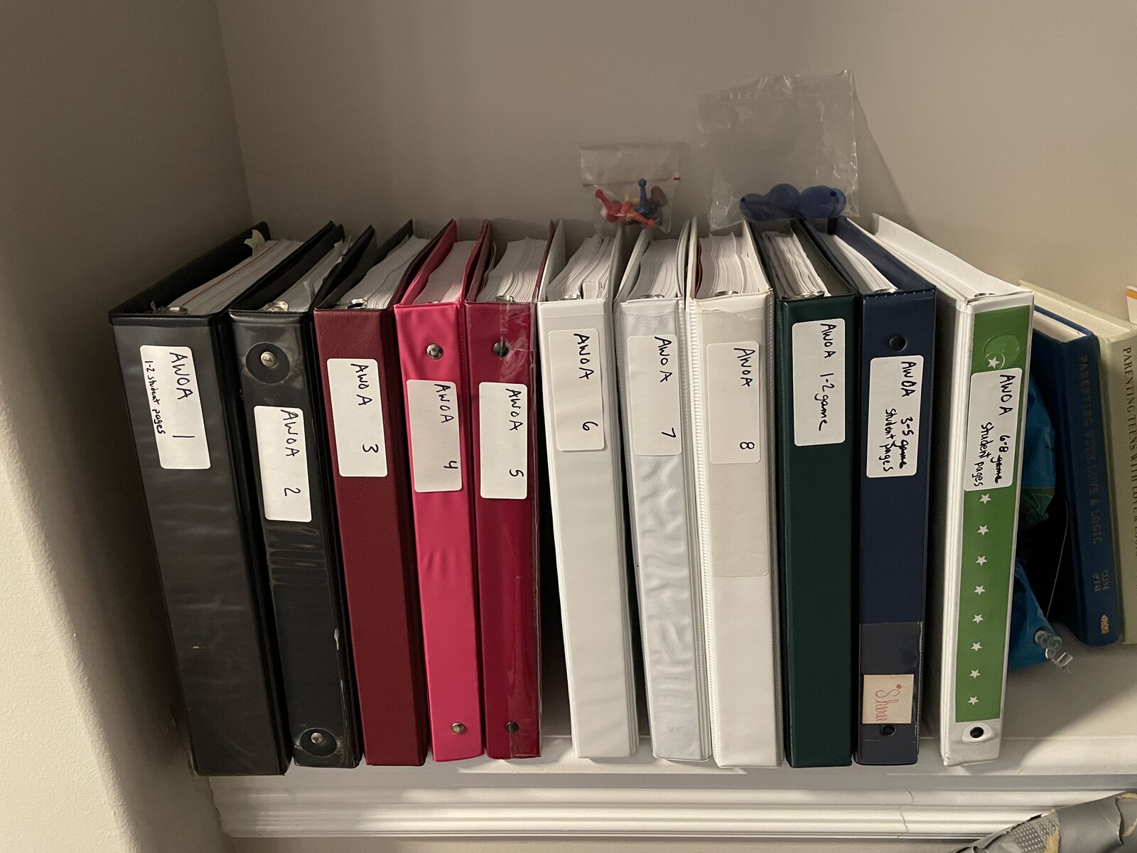 A world of adventure homeschool curriculum