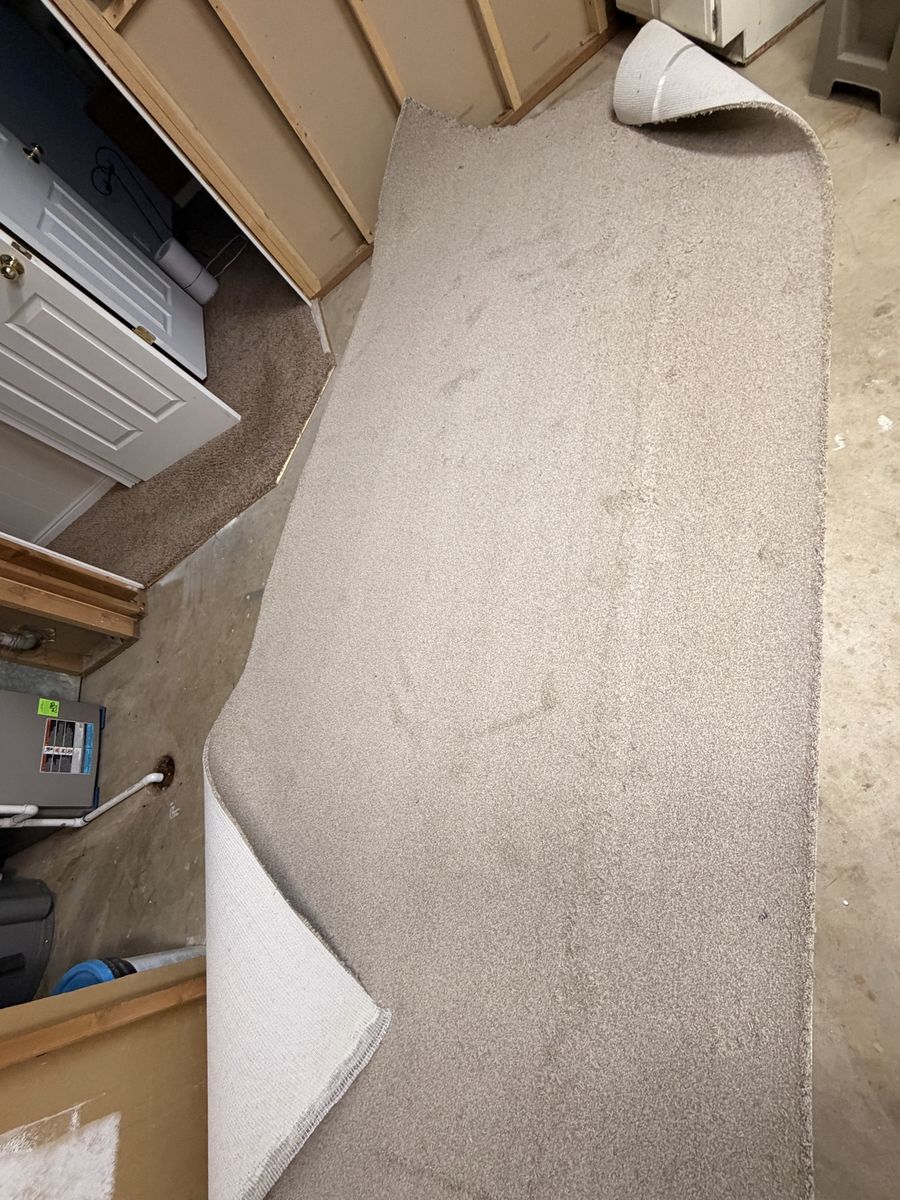 Beige Carpet Roll Remnant