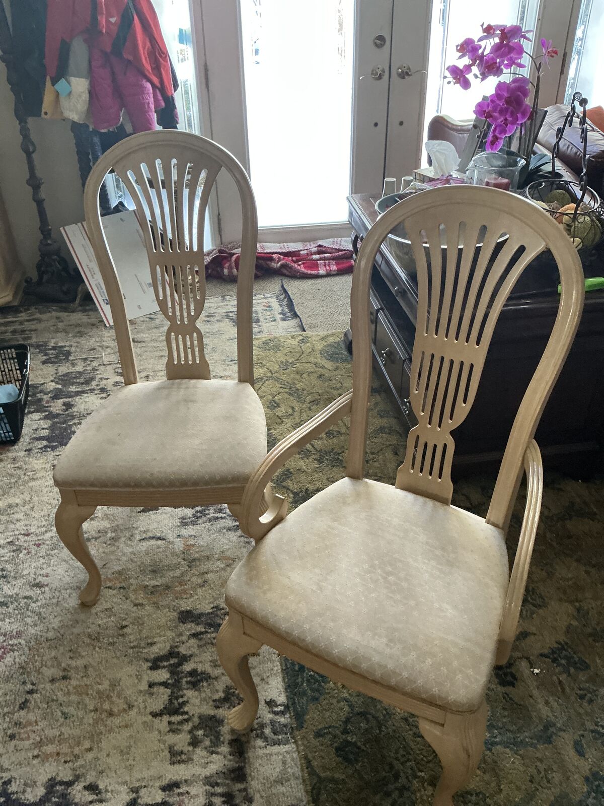 Dinning room chairs