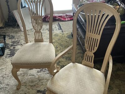 Dinning room chairs
