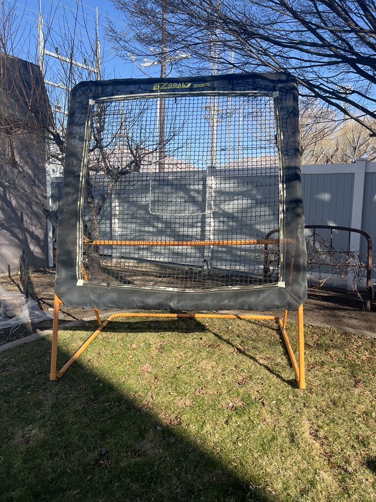 Lacrosse Bounce Back