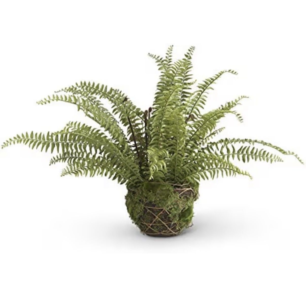 K&K Interiors 27.5" Artificial Boston Fern in Moss & Twig Basket - New in Box