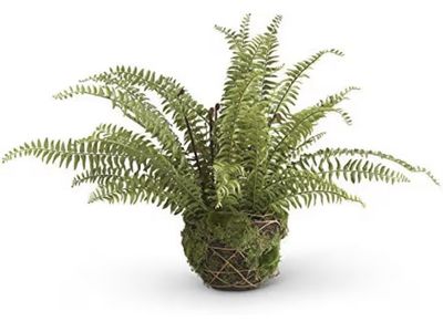 K&K Interiors 27.5" Artificial Boston Fern in Moss & Twig Basket - New in Box