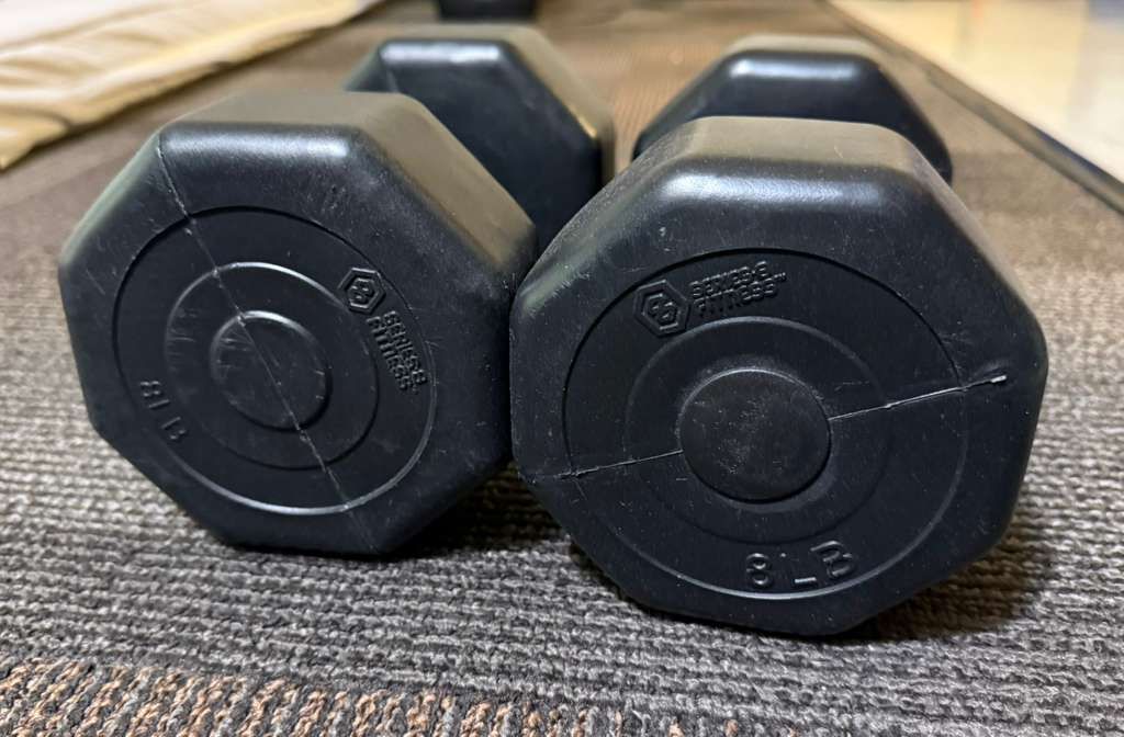8lb Dumbbells (x2)