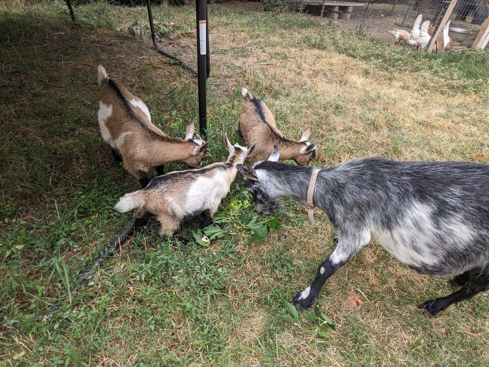 Main image 6