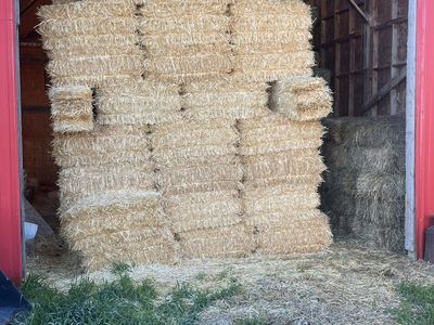 Barley Straw