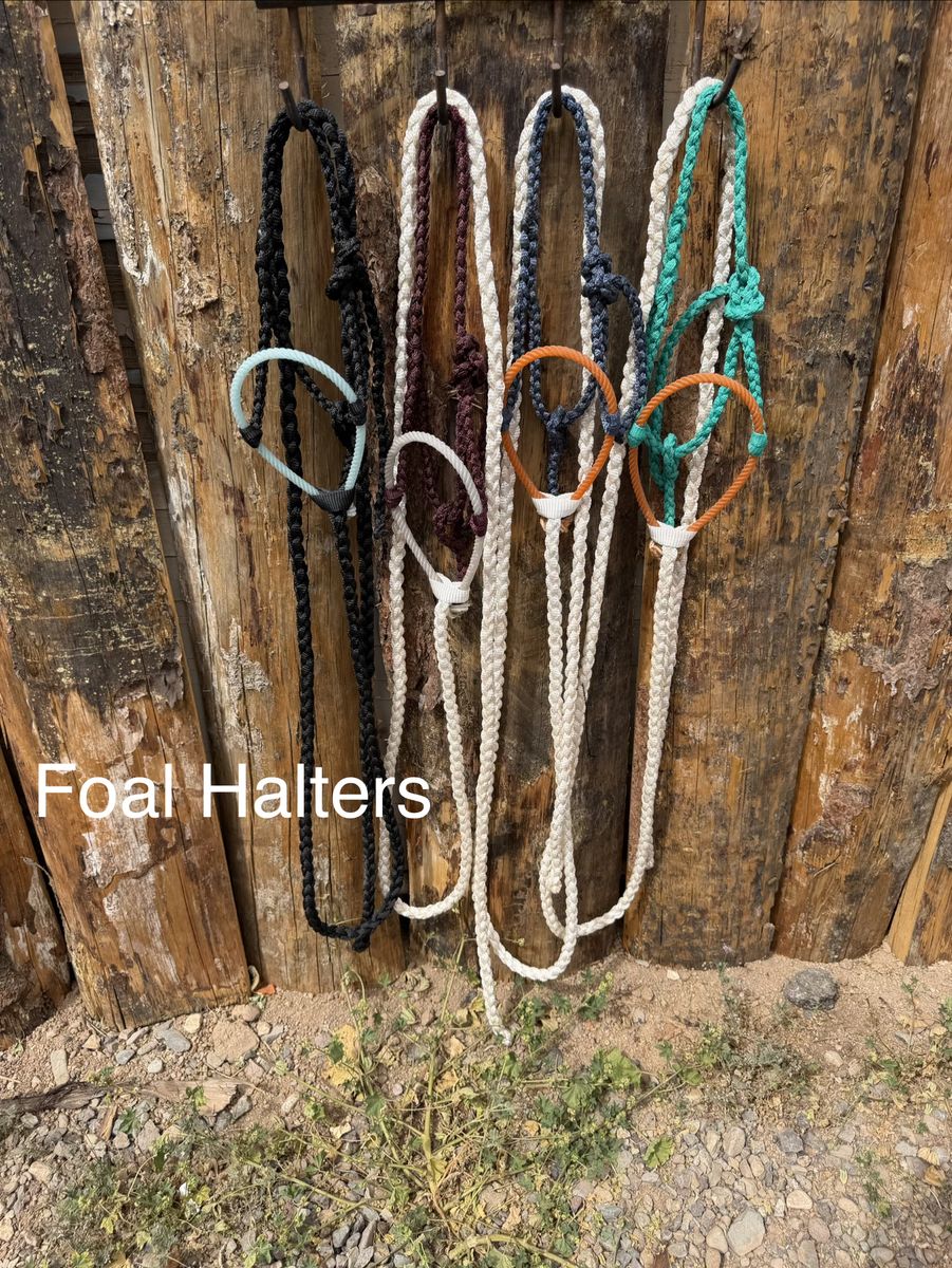 Mule Tape Halters and Loping Hackamores