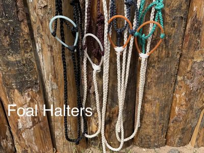 Mule Tape Halters and Loping Hackamores
