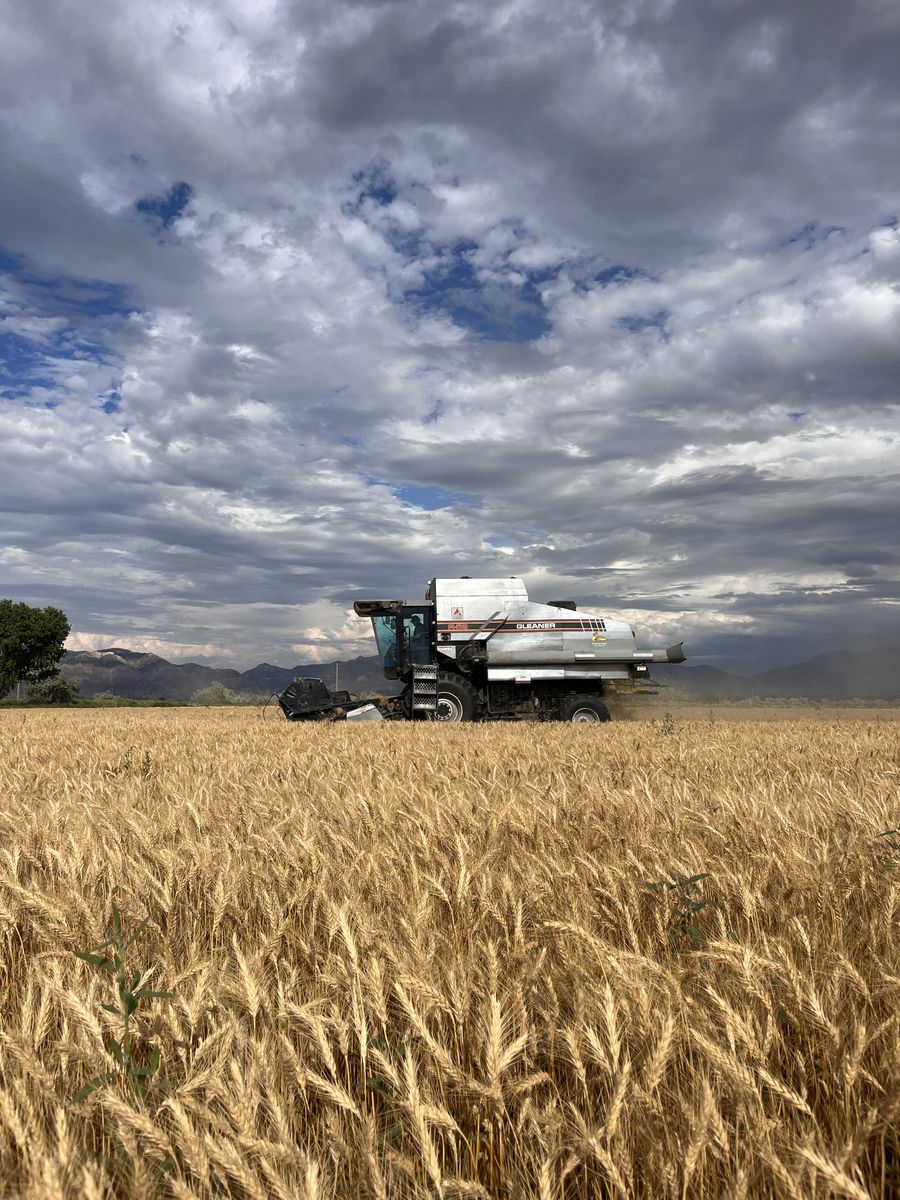 Gleaner R62 Combine