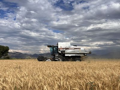 Gleaner R62 Combine
