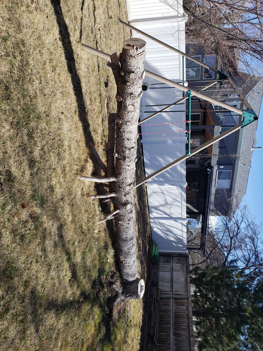 Don't waste this 16 foot log