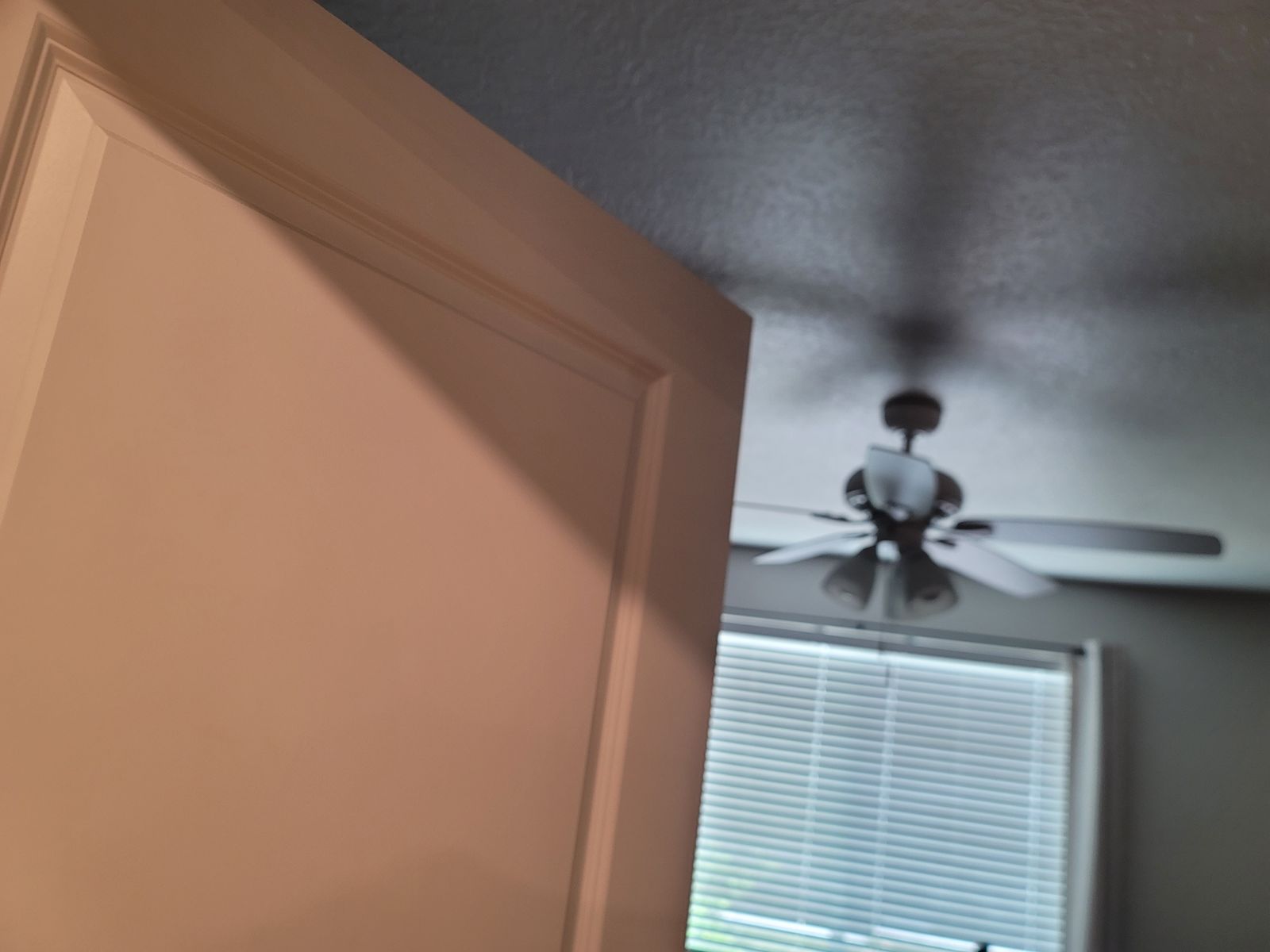 Main image 6