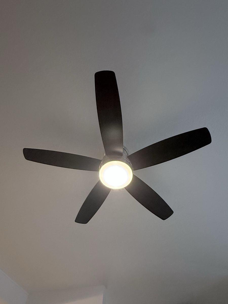 Main image 2