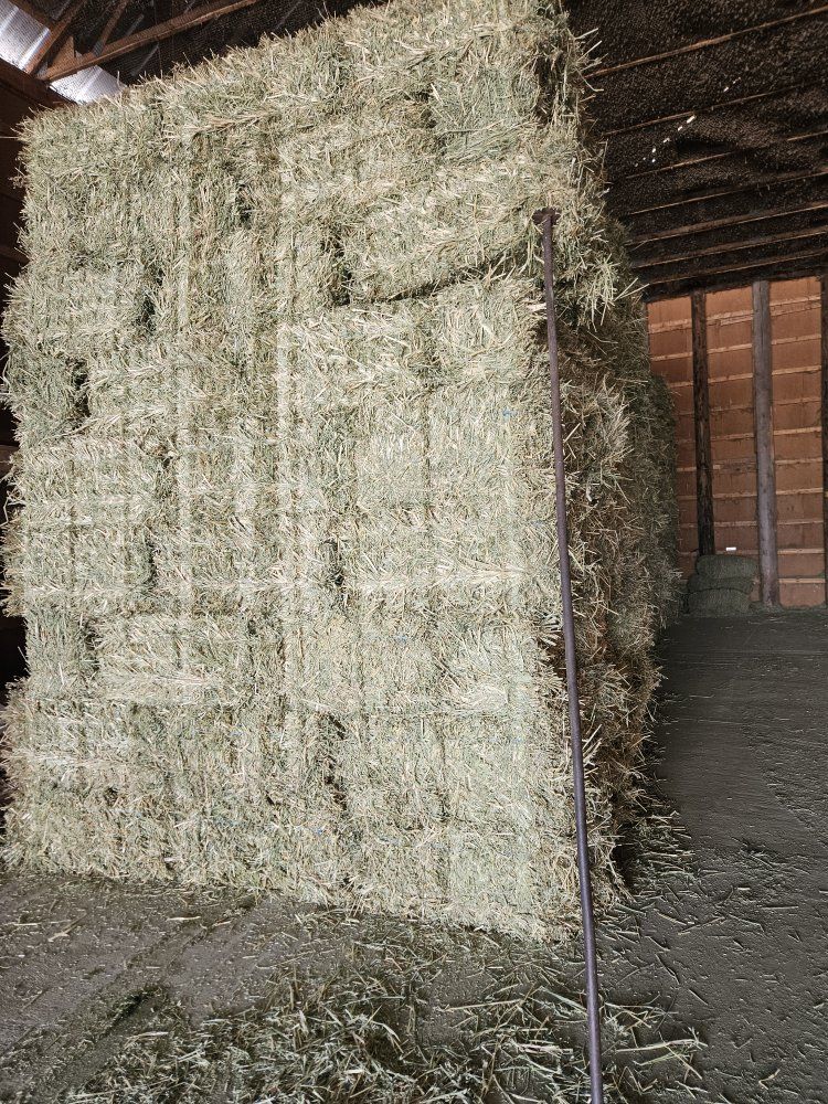 Oat/alfalfa hay
