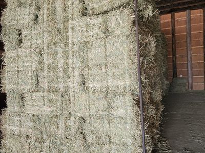 Oat/alfalfa hay