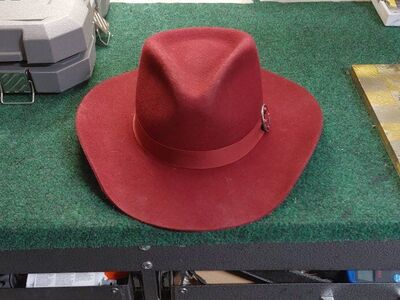 cowgirl hat lainy Wilson