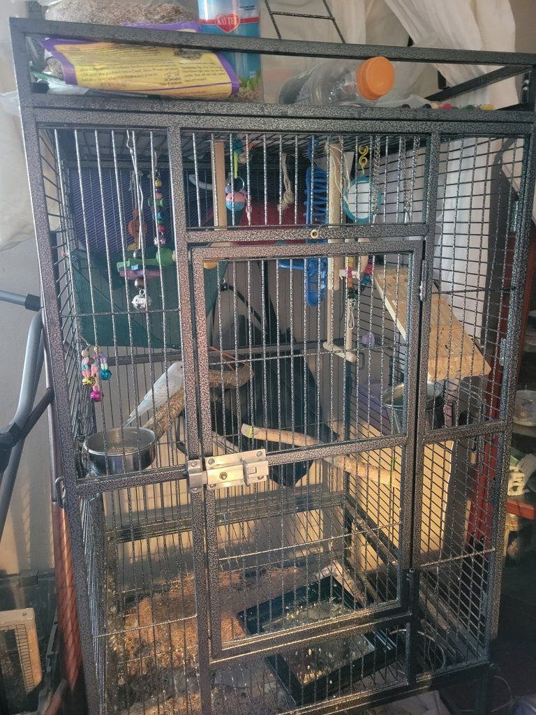 Large Bird Cage, Parakeet & Supplies