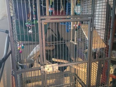 Large Bird Cage, Parakeet & Supplies