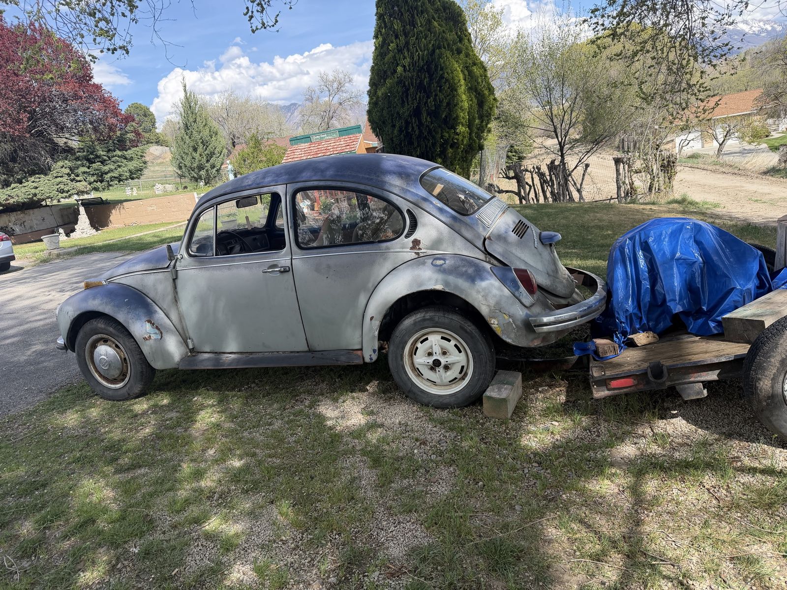 1971 Volkswagen Beetle for trade