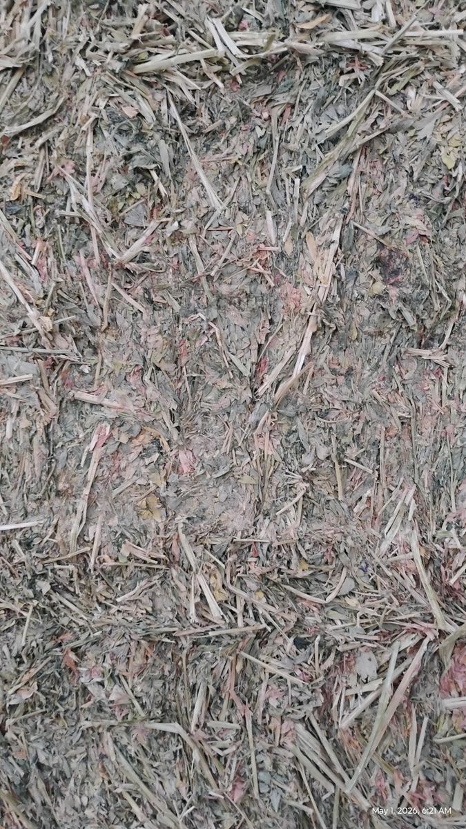 Alfalfa hay for sale
