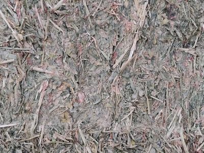 Alfalfa hay for sale
