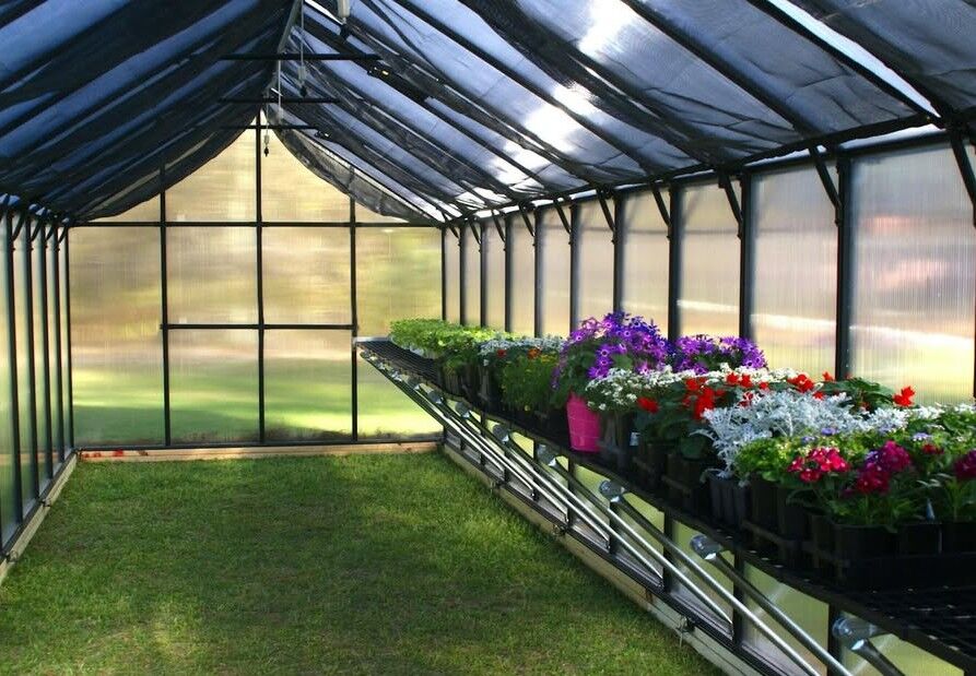 Special Christmas Gift * MONT GREENHOUSE SPECIAL EDITION Brand New 8x16