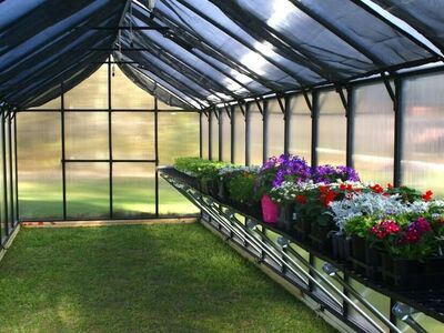 Special Christmas Gift * MONT GREENHOUSE SPECIAL EDITION Brand New 8x16