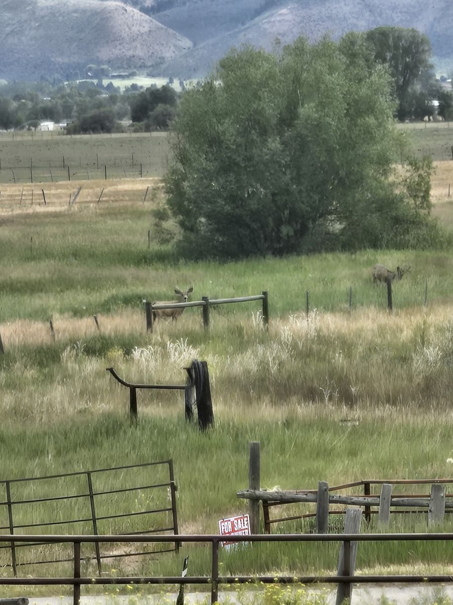 Star Valley Wyoming adjoining lots-land off west hills