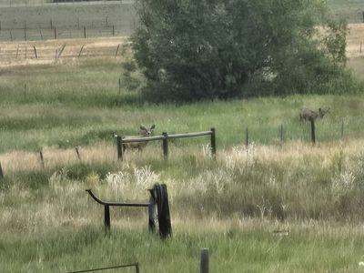 Star Valley Wyoming adjoining lots-land off west hills