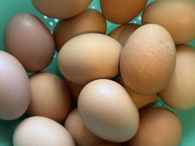 Fresh Farm Eggs