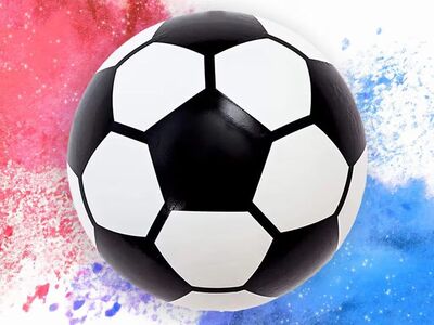 Gender Reveal Soccer Ball
