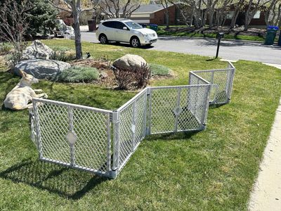 Collapsable Dog Fence