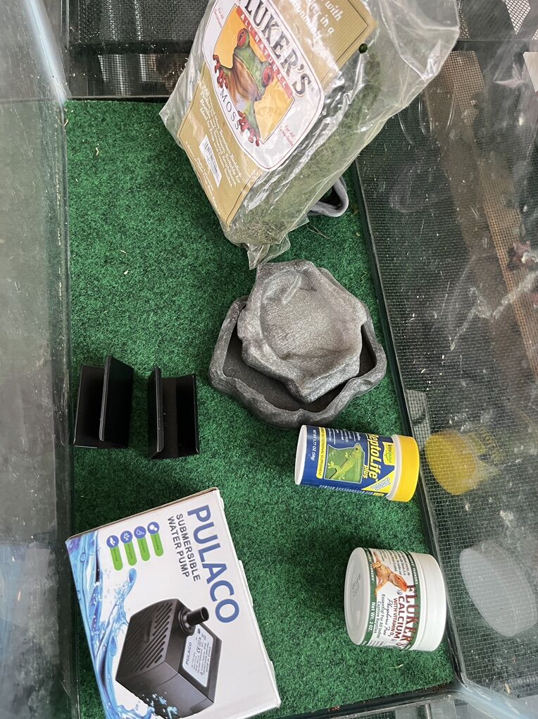 10 Gallon Reptile Tank