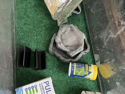 10 Gallon Reptile Tank