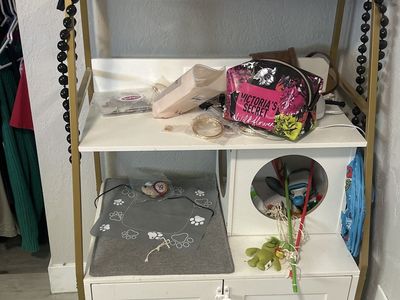Hidden cat litter box shelves
