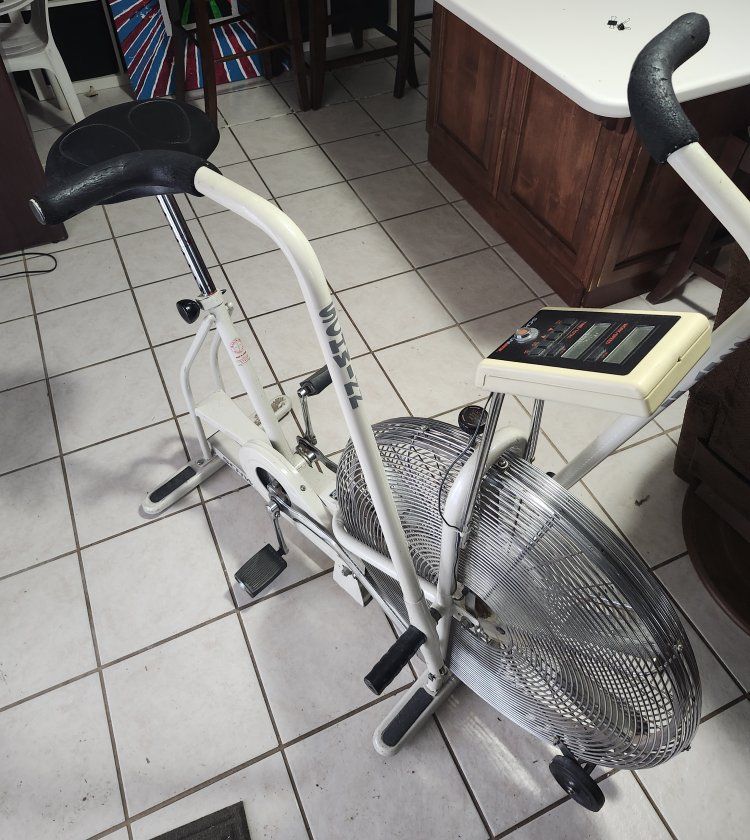 Schwinn Airdyne