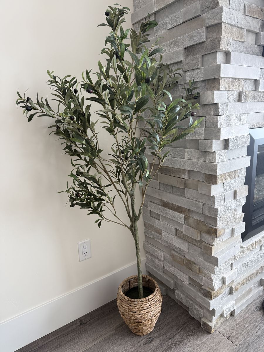 Faux Olive Tree, ~5 ft (Primrue Aarav)