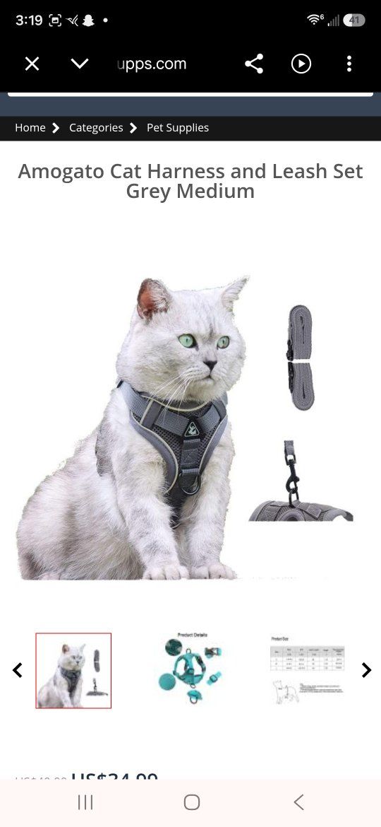 Cat Harness and Leash Set