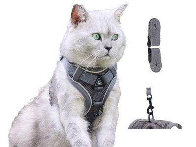 Cat Harness and Leash Set